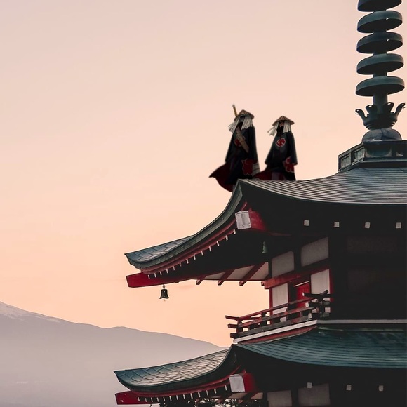 Meet your Posher, Chelsea - Picture 1 of 1